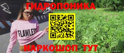 бошки Донской