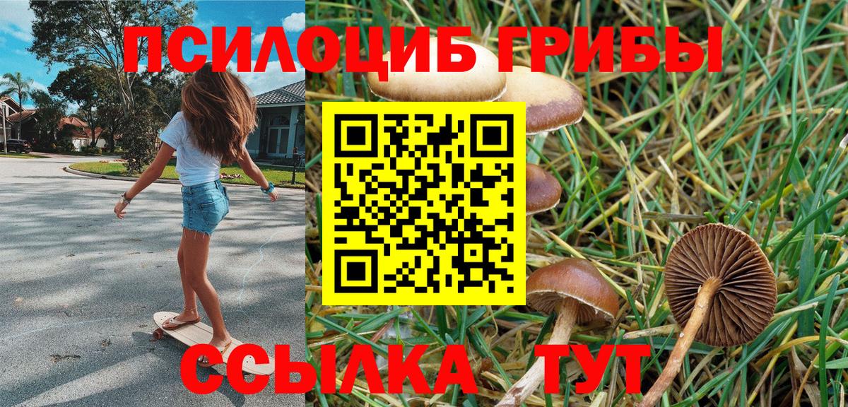 Мурманск  Псилоцибиновые грибы MAGIC MUSHROOMS  Вход с VPN 